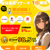 クイックマネープラス